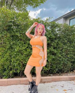 ดีเจดัง